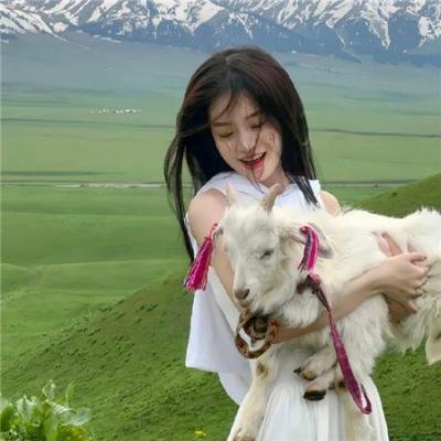 我亲爱的失败者之青春